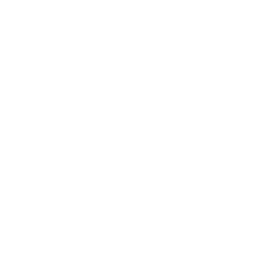 ALEF Global